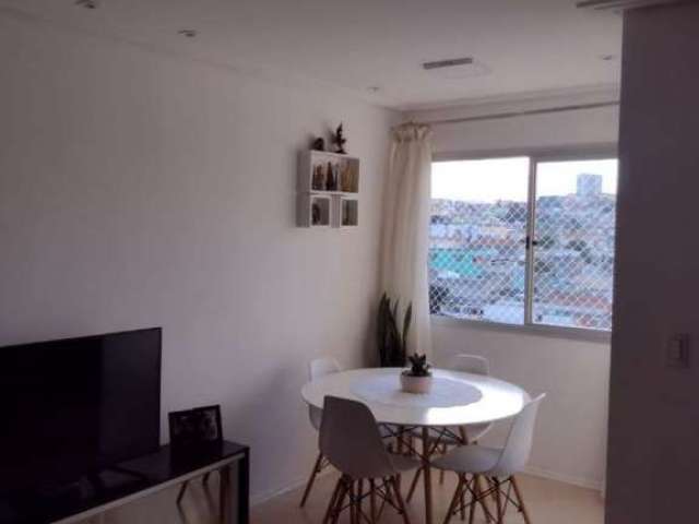 Apartamento à Venda em Vila Palmeiras, São Paulo - SP