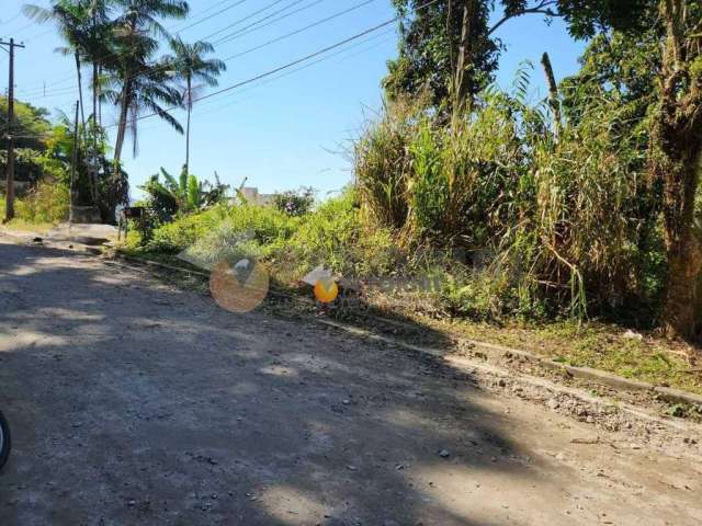 Terreno à venda, 302 m² por R$ 230.000,00 - Massaguaçu - Caraguatatuba/SP