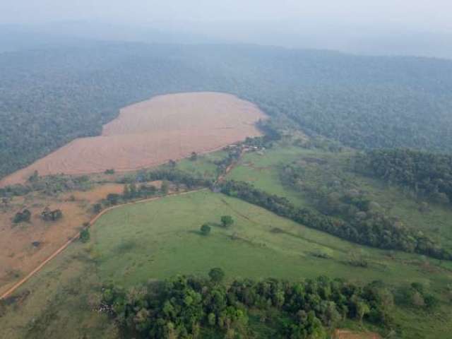 Fazendas, Área Rural  em Capitão Leônidas Marques/PR