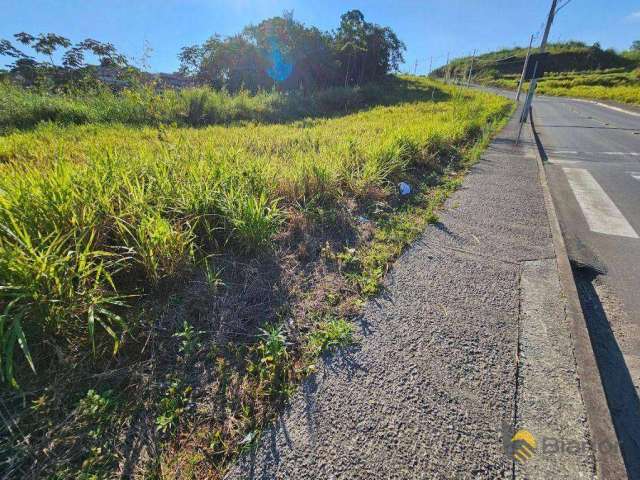 Terreno à venda, 325 m² por R$ 194.000,00 - Salto do Norte - Blumenau/SC