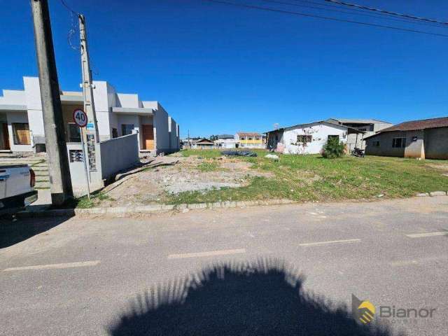 Terreno à venda, 360 m² por R$ 189.000,00 - Figueira - Gaspar/SC