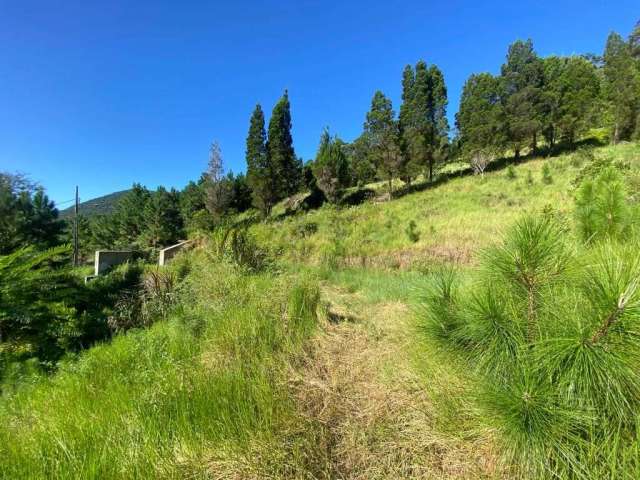 Terreno com 16.000m² à venda em Santo Antônio de Lisboa.