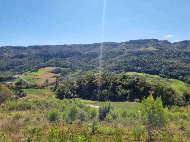 Terreno com 60.000m² à venda em Alfredo Wagner.