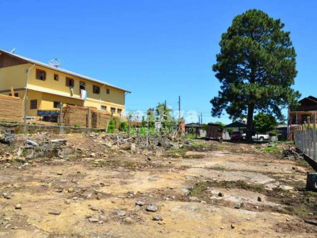 TERRENO COMERCIAL EM CANELA , Vila Boeira, Canela - RS