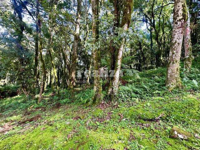 TERRENO EM CONDOMÍNIO , Pinheiro Grosso, Canela - RS