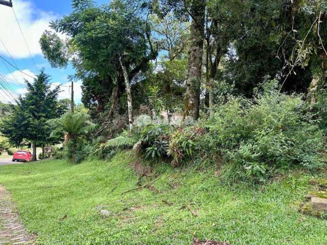 TERRENO EM CONDOMINIO, Quinta da Serra, Canela - RS