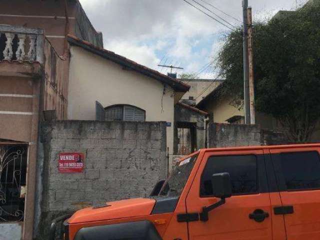 Terreno residencial à venda, Vila Baeta Neves, São Bernardo do Campo.