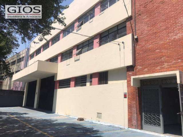 Galpão à venda, 3119 m² por R$ 14.000.000,00 - Parque Industrial Tomas Edson - São Paulo/SP