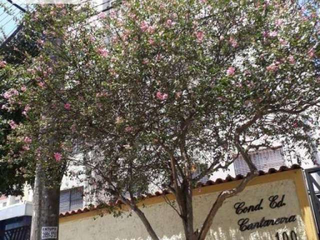 Ótimo Apartamento no Condomínio Edifício Cantareira - Zona Norte