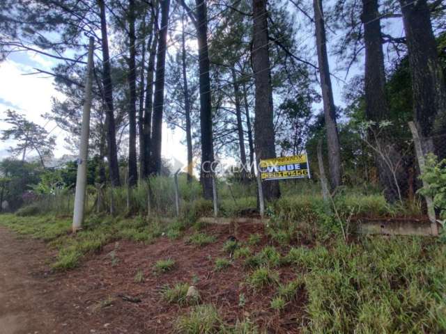 Terreno à venda na Rua Fábio Baptista Pinto, 875, Recanto dos Dourados, Campinas por R$ 260.000