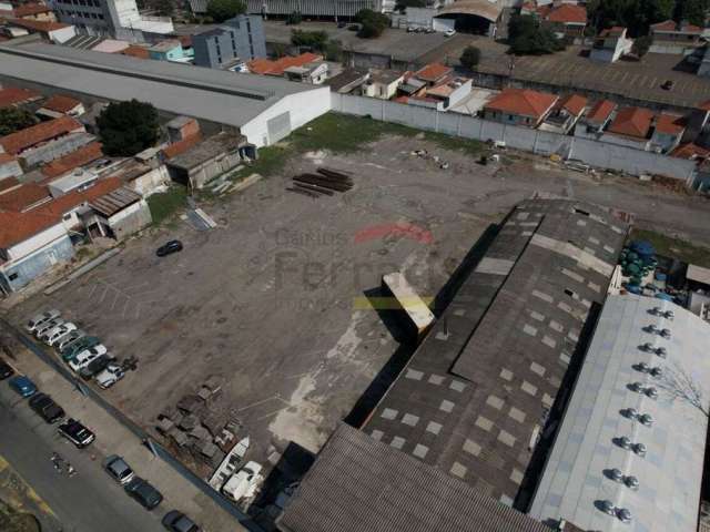 Terreno plano com 8.000m² para alugar na Vila Guilherme!