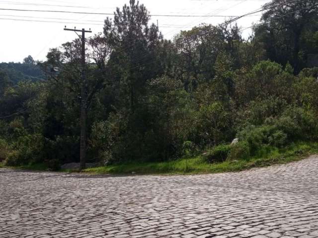 Terreno à venda na Colina Sorriso, Caxias do Sul  por R$ 610.000