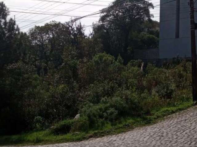 Terreno à venda na Colina Sorriso, Caxias do Sul  por R$ 330.000