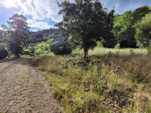 Chácara / sítio à venda no Santa Lúcia do Piaí, Caxias do Sul  por R$ 100.000