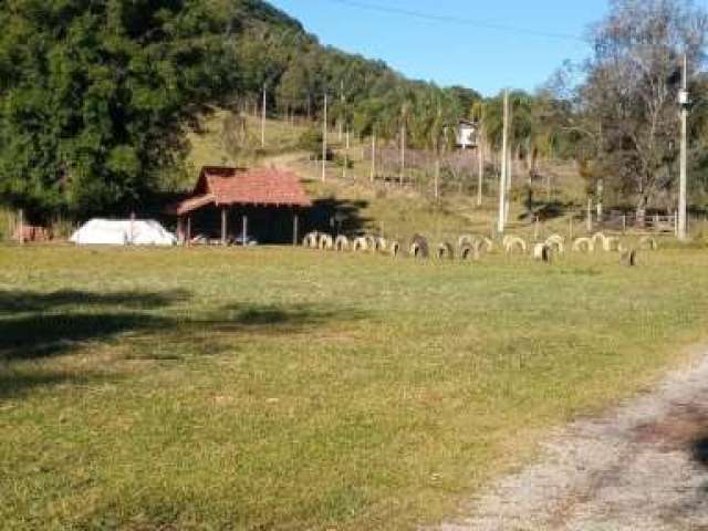 Chácara / sítio com 2 quartos à venda no Kayser, Caxias do Sul  por R$ 450.000