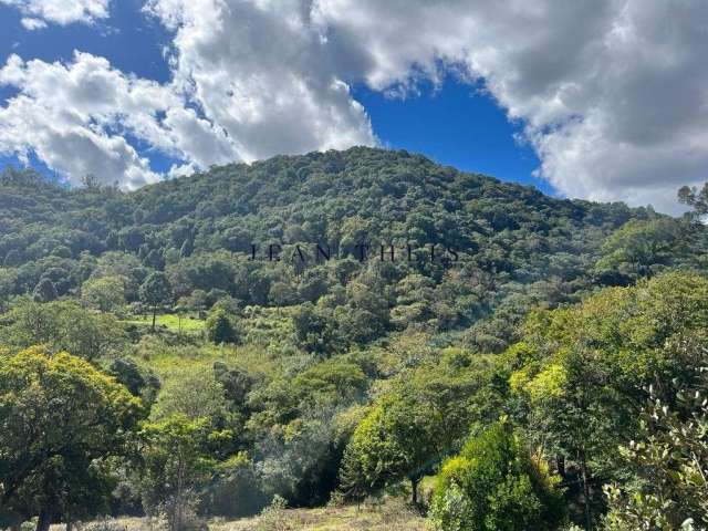 Chácara / sítio à venda na Zona Rural, Caxias do Sul  por R$ 180.000