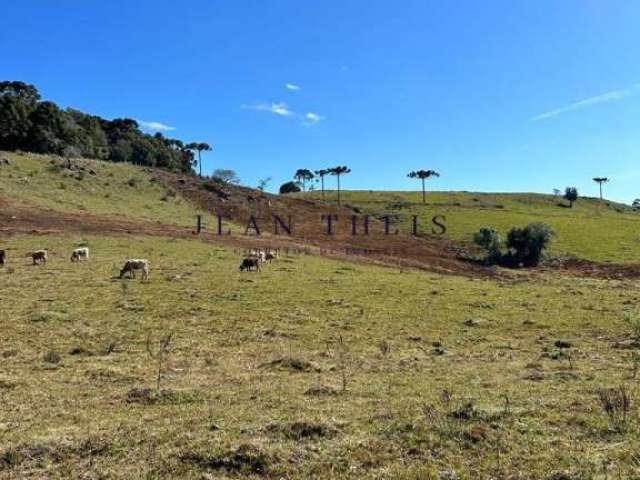 Chácara / sítio à venda na Vila Seca, Caxias do Sul  por R$ 200.000