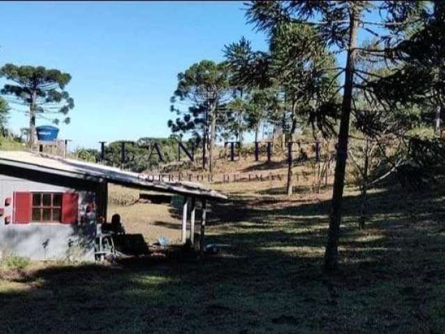 Chácara / sítio à venda no Apanhador, São Francisco de Paula  por R$ 199.000