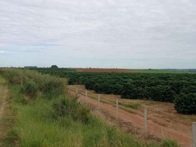 Fazenda para Venda em Franca, Parque Francal