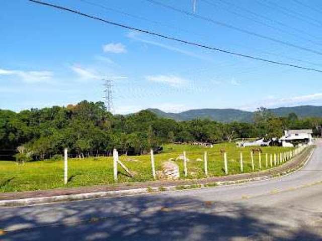 Área à venda, 6394 m² por R$ 2.000.000,00 - Ratones - Florianópolis/SC