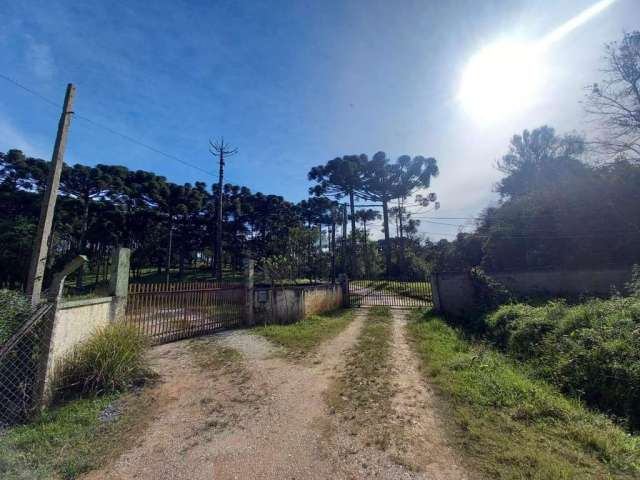 Terreno à venda na Rua Pedro Antoniacomi, Colônia Antônio Prado, Almirante Tamandaré por R$ 4.500.000