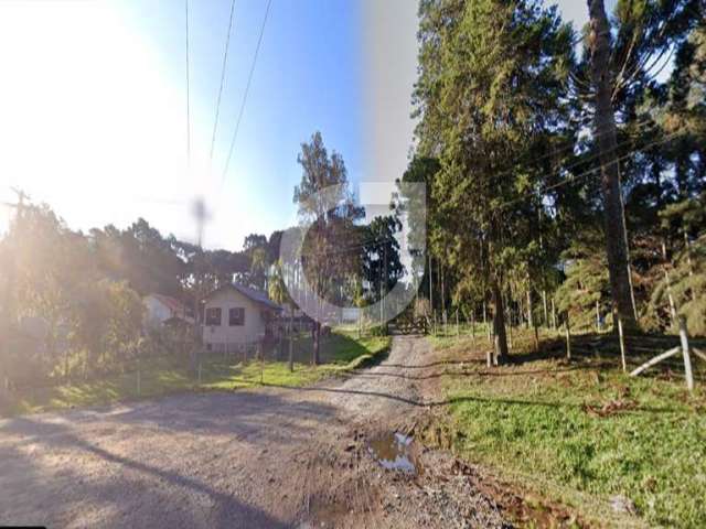 Fazenda à venda na Avenida Dom Pedro II, 5893, Palmitalzinho, Quatro Barras, 3571400 m2 por R$ 21.000.000