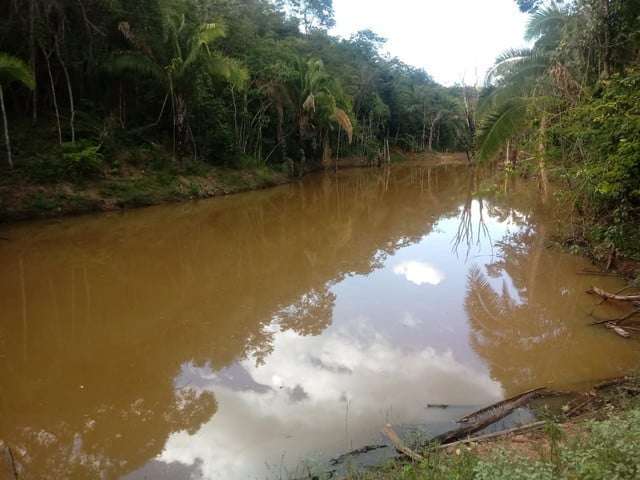 Fazenda 61 Alqueires no mun Padre Bernardo terra apropriada para gado