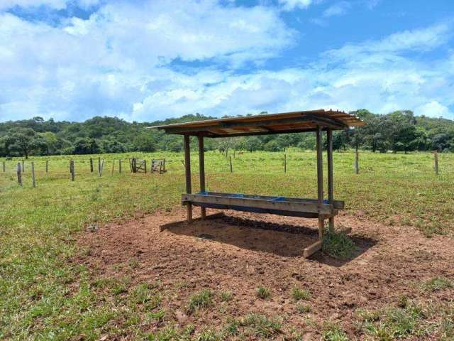 Fazenda 52 alqueires para criação gado