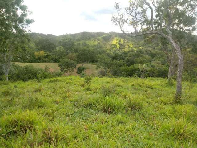 Fazenda 23 alqueires municipio cocalzinho