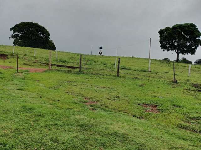 Fazenda 7 alqueires municipio itaguaru