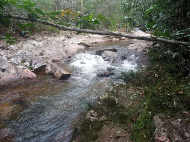 Chacara rica em agua 04 alqueires municipio cocalzinho