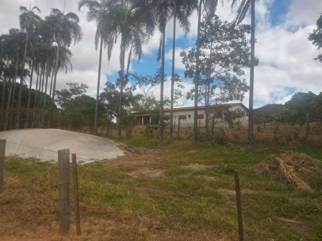 Fazenda terra de cultura e muito rica em agua 25 alqueires