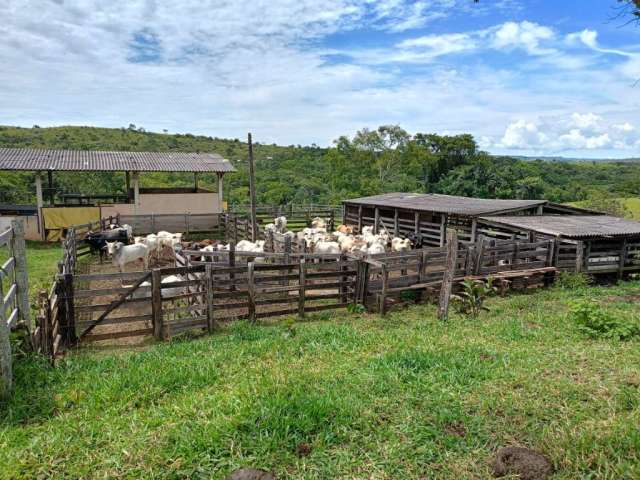 Fazenda 28 alqueires municipio cocalzinho