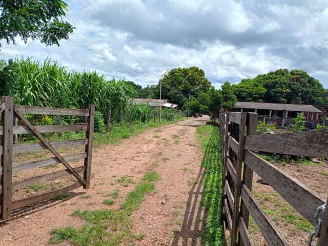 Fazenda 22 alqueires municipio cocalzinho