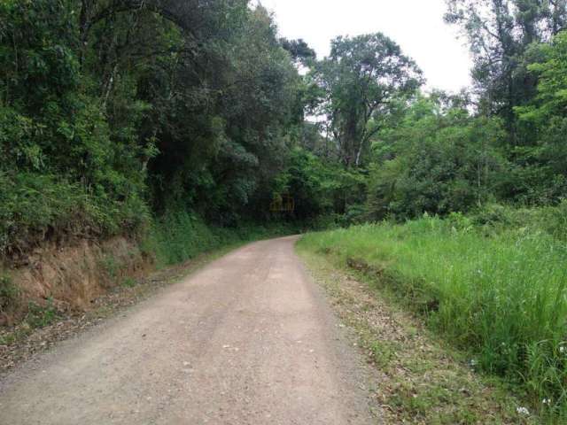 Área de terra em Linha Vitória