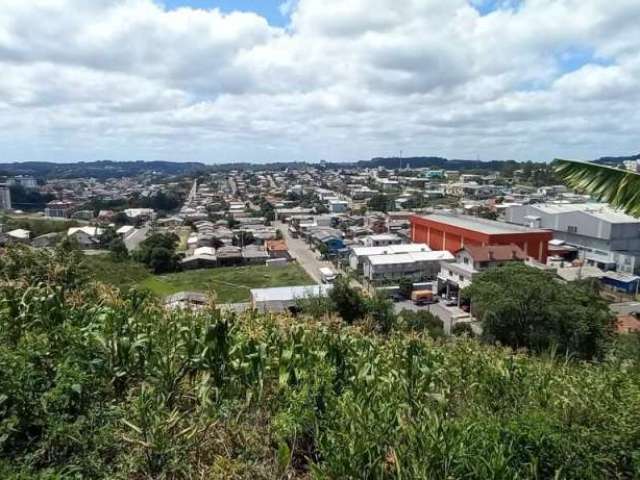 Terreno à venda, Alfândega - Garibaldi/RS