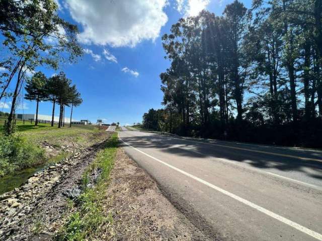 Área Comercial à venda, Linha São Roque Figueira de Melo - Garibaldi/RS