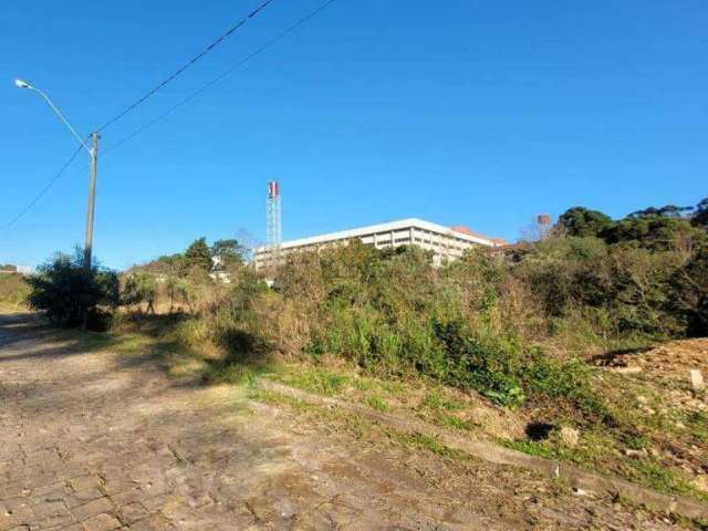 Terreno à venda, São Paulo - Carlos Barbosa/RS