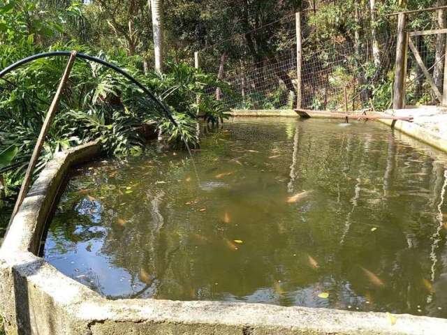 Sítio para Venda em Florianópolis, Vargem do Bom Jesus, 3 dormitórios, 1 suíte, 2 banheiros, 2 vagas