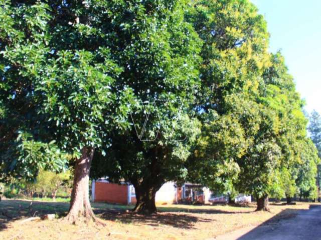 Terreno comercial à venda no Sousas, Campinas  por R$ 5.450.000