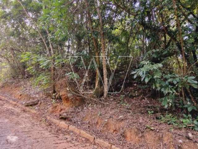 Chácara / sítio com 1 quarto à venda na Estrada Sousas-Pedreira, s/n, Sousas, Campinas, 20227 m2 por R$ 2.150.000