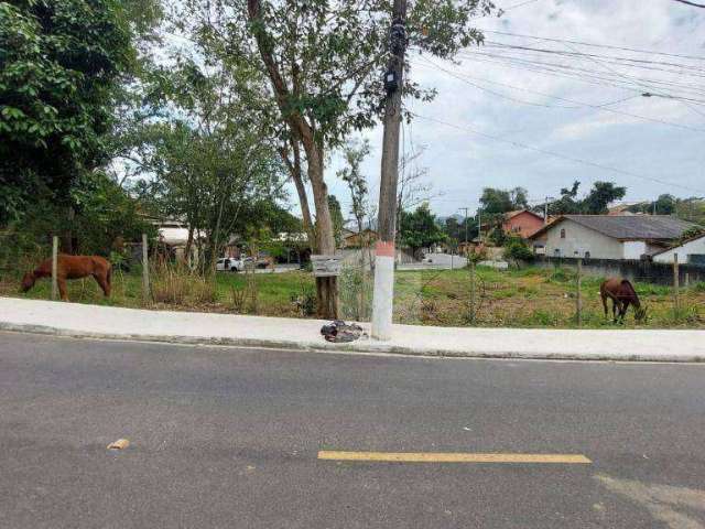 Terreno à venda, 346 m² por R$ 100.000,00 - Pedreiras - Maricá/RJ