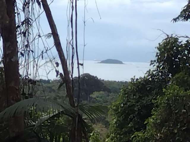 Sitio a Venda São Roque Paraty RJ.