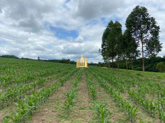 Fazenda à venda em Esmeraldas-MG, São José: 7 quartos, 4 salas, 5 banheiros, 10 vagas de garagem, 300m².