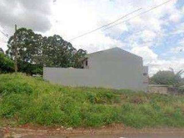 Terreno à venda, 448 m² por R$ 650.000 - Pacaembu - Cascavel/PR