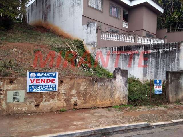 Terreno em Horto Florestal