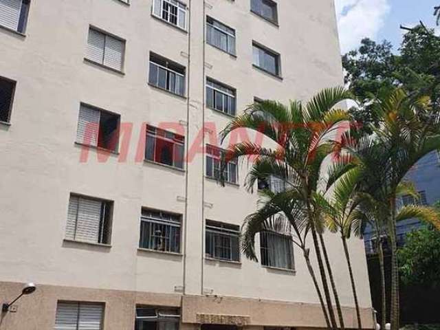 Apartamento de 62m² com 2 quartos em Lauzane Paulista