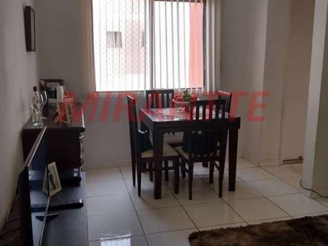 Apartamento de 57m² com 2 quartos em Vila Gustavo