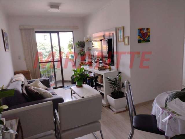 Apartamento com 3 quartos em Vila Amalia