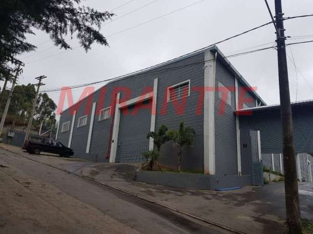 Galpao de 2350m² em Terra Preta